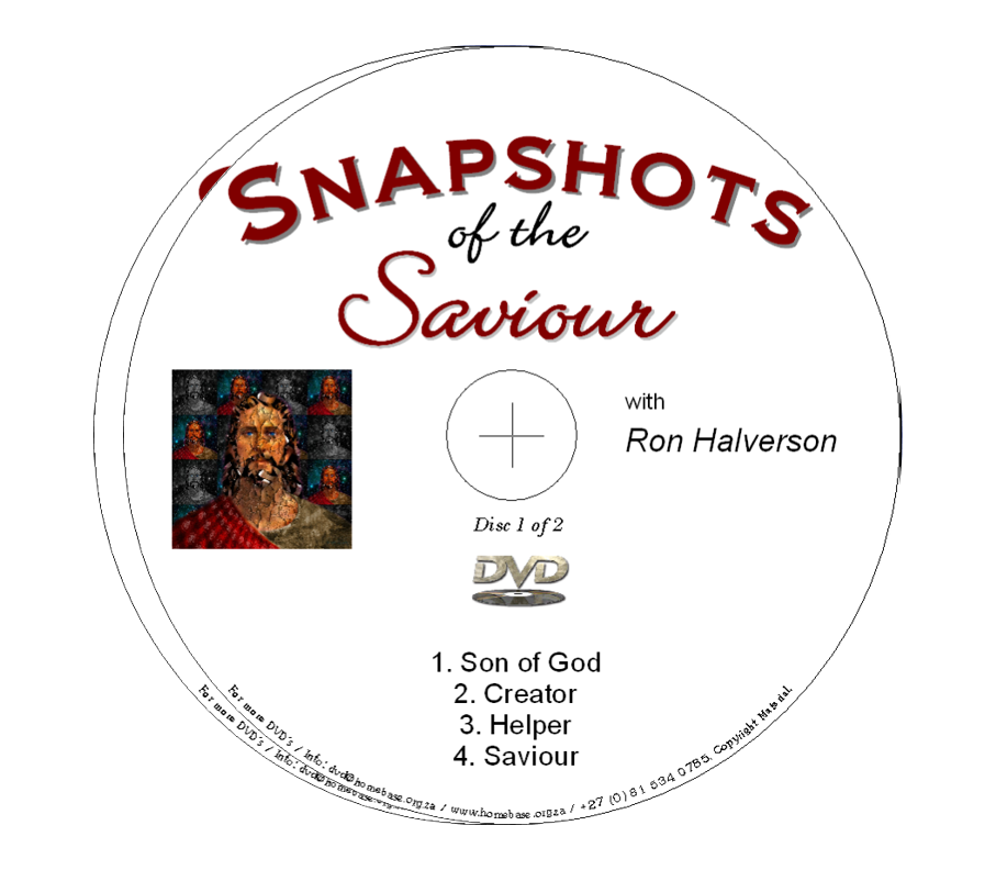 Snapshots of the Saviour - Ron Halverson