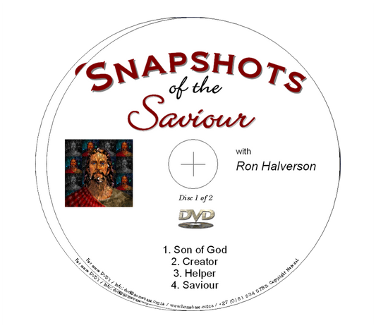 Snapshots of the Saviour - Ron Halverson